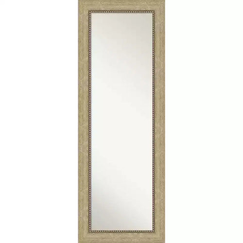 19" x 53" Non-Beveled Astor Champagne Full Length on The Door Mirror - Amanti Art: Includes Mounting Hardware, Polystyrene Frame