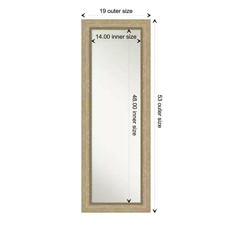 19" x 53" Non-Beveled Astor Champagne Full Length Door Mirror, Includes Mounting Hardware, Polystyrene Frame