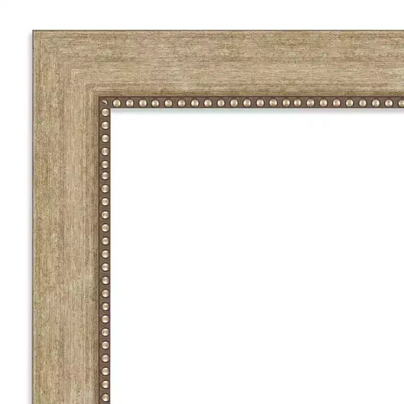 19" x 53" Non-Beveled Astor Champagne Full Length Door Mirror, Includes Mounting Hardware, Polystyrene Frame