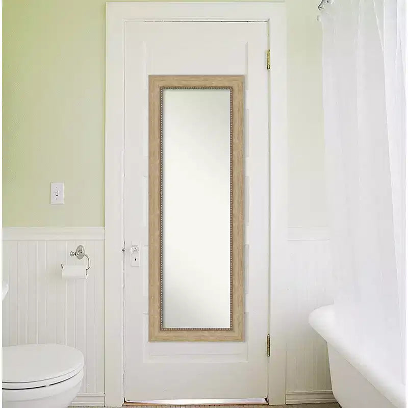 19" x 53" Non-Beveled Astor Champagne Full Length Door Mirror, Includes Mounting Hardware, Polystyrene Frame