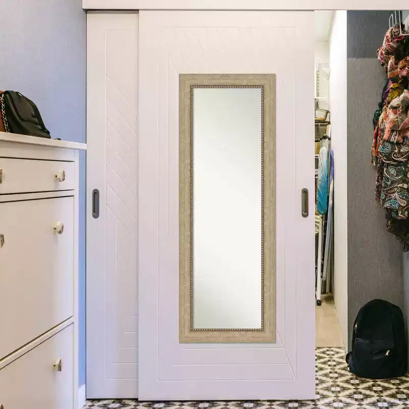 19" x 53" Non-Beveled Astor Champagne Full Length Door Mirror, Includes Mounting Hardware, Polystyrene Frame