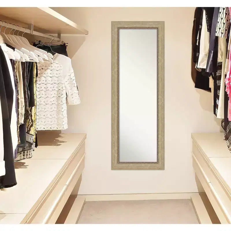 19" x 53" Non-Beveled Astor Champagne Full Length Door Mirror, Includes Mounting Hardware, Polystyrene Frame