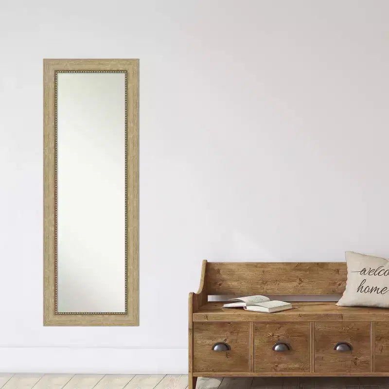 19" x 53" Non-Beveled Astor Champagne Full Length Door Mirror, Includes Mounting Hardware, Polystyrene Frame