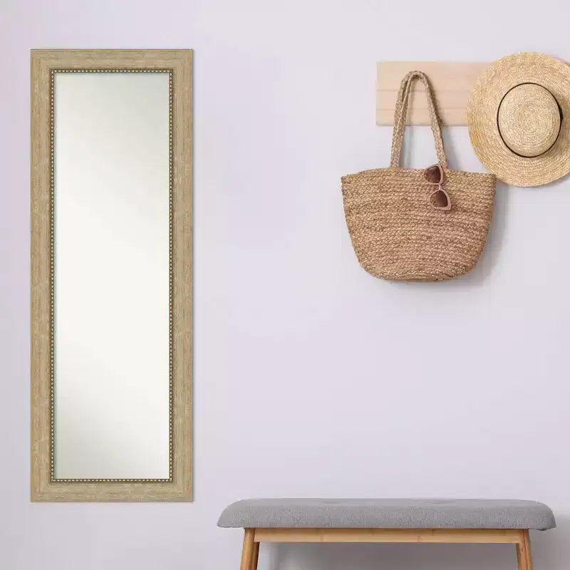 Miroir de porte pleine longueur Astor Champagne 48 x 135 cm non biseauté, quincaillerie de montage incluse, cadre en polystyrène