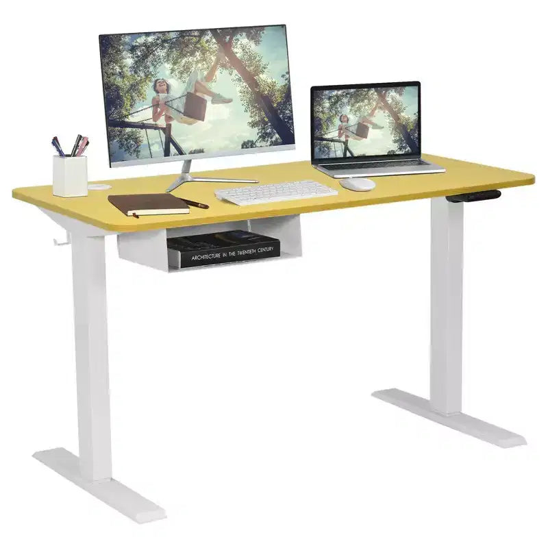 48" Electric Standing Desk, Height Adjustable with Control Panel & USB Port
