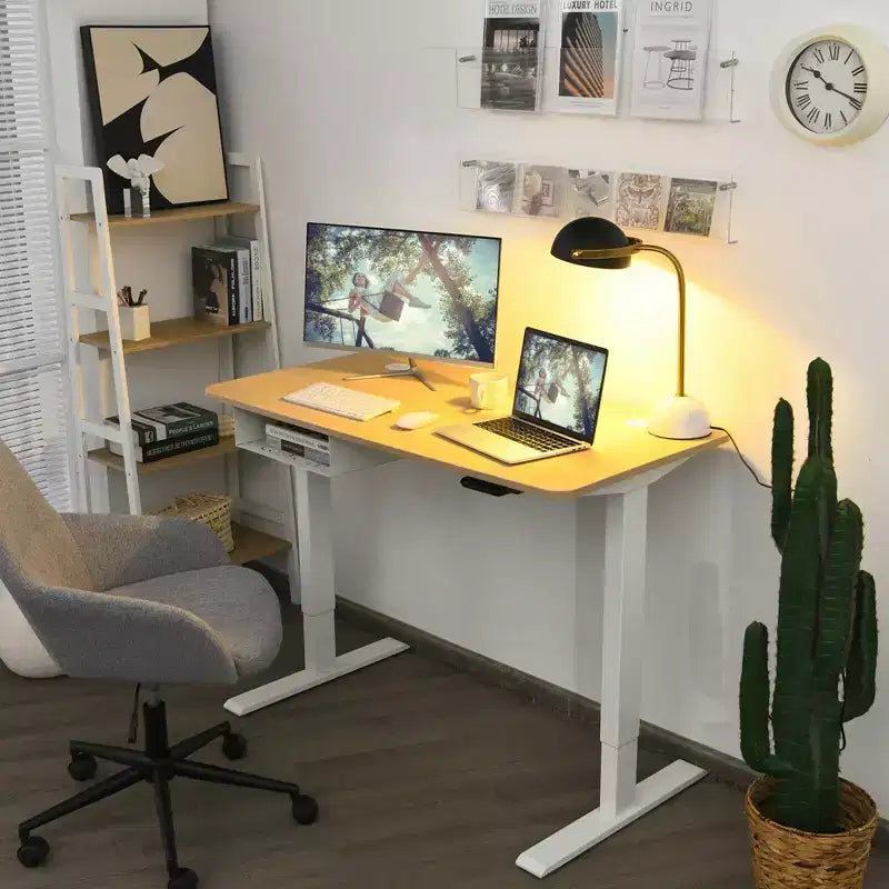 48" Electric Standing Desk, Height Adjustable with Control Panel & USB Port