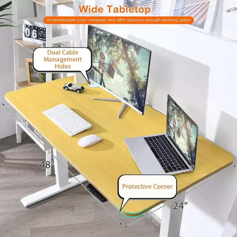 48" Electric Standing Desk, Height Adjustable with Control Panel & USB Port