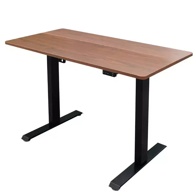 Programmable Electric Two-Tier Compact Standing Desk (48" Wide)