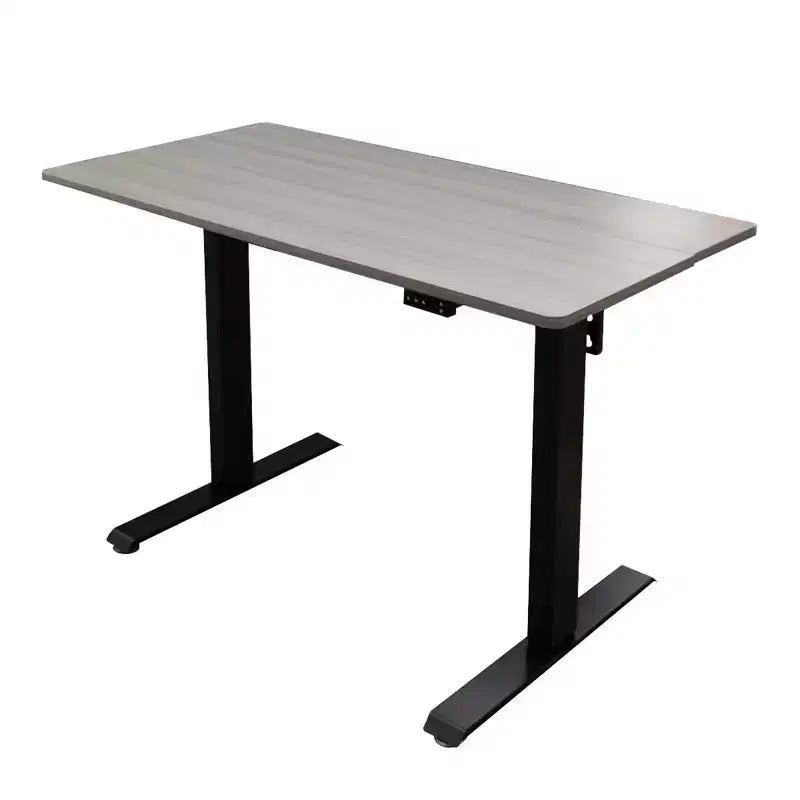 Programmable Electric Two-Tier Compact Standing Desk (48" Wide)