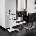 Rolling Equipment Cart, Salon Trolley Stand, White